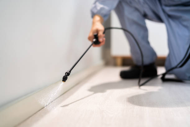 Licensed Rodent Control service in Philadelphia County County, PA - Nex Pest Control